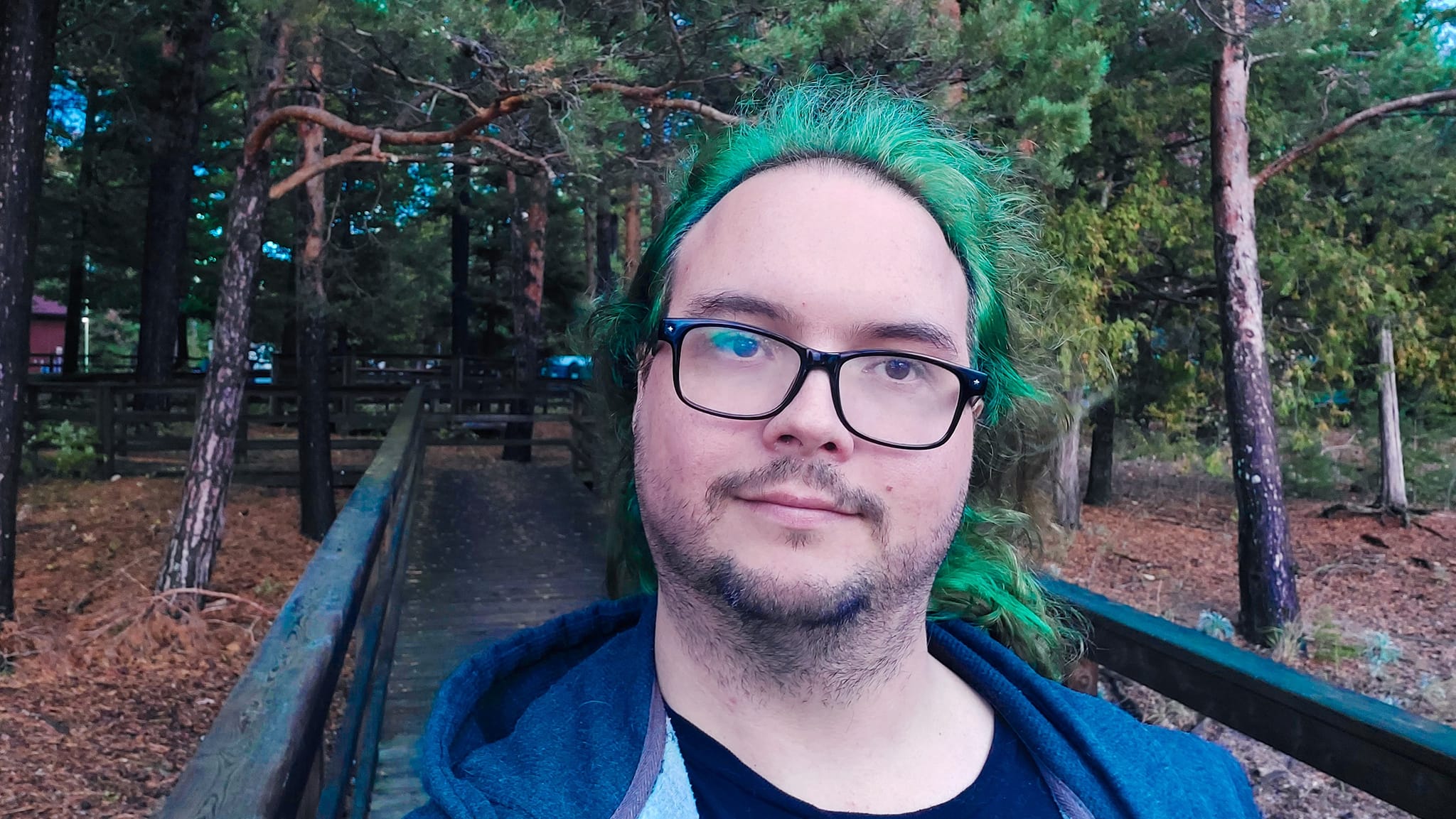 A man with long green hair wearing a hooded sweater vest is on a boardwalk in front of coniferous trees missing bark